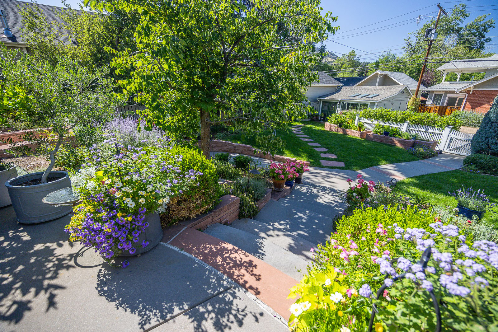 Residential landscape design backyard patio 