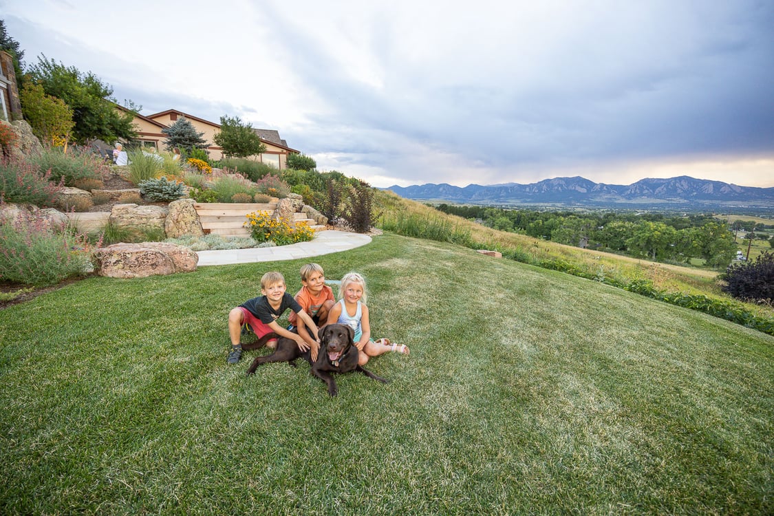 Residential landscape design kids dog grass 