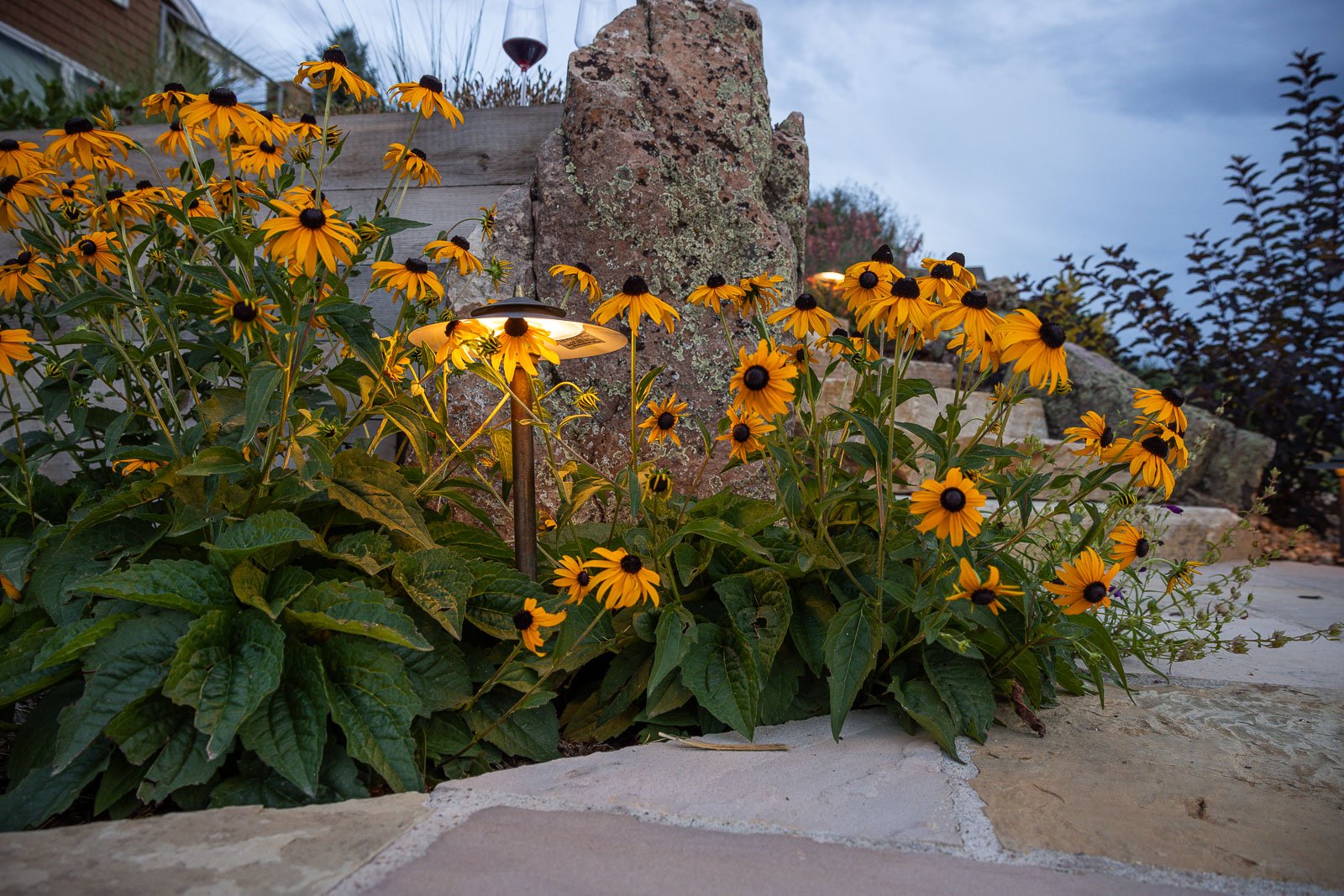 Residential landscape design outdoor lighting flowers