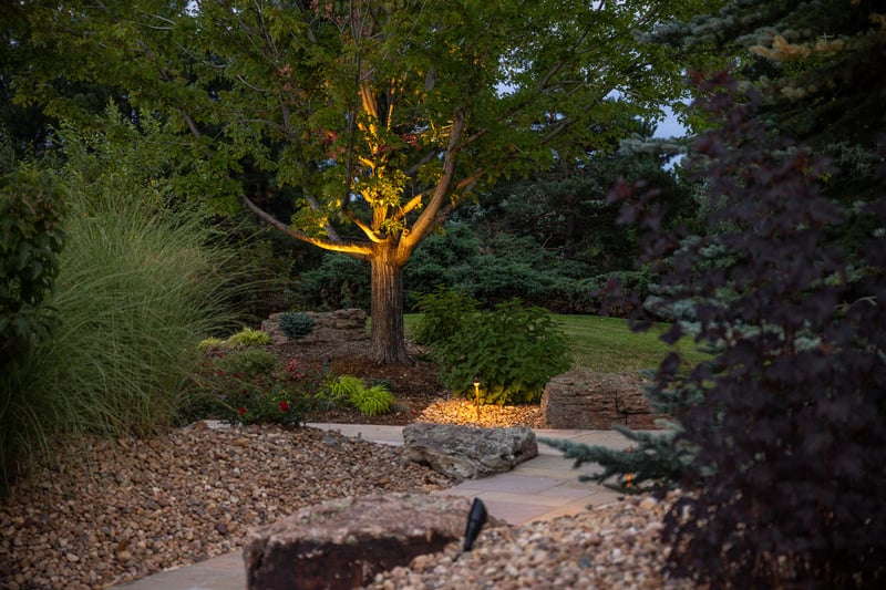 Residential landscape design outdoor lighting tree uplighting 1