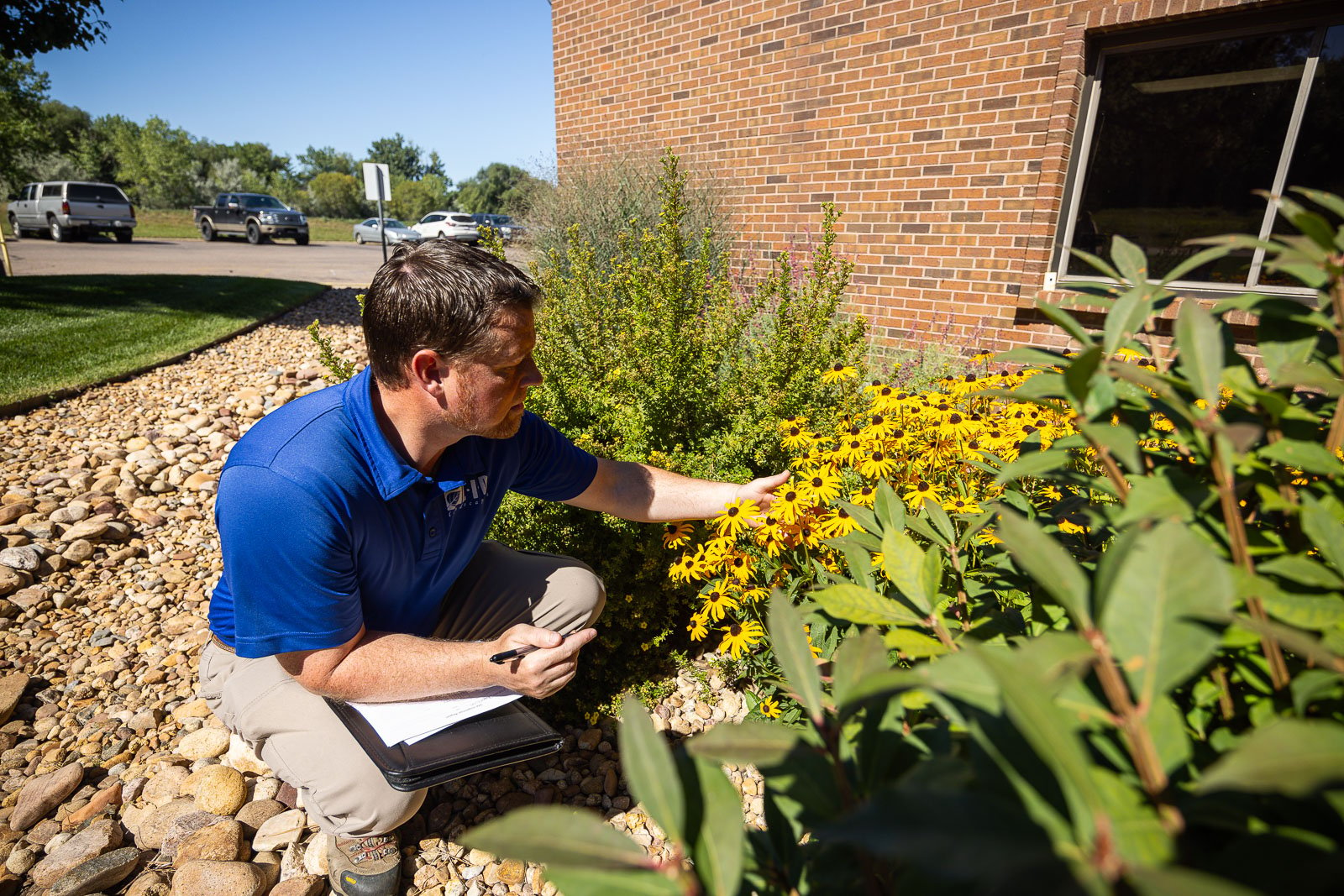 commercial account manager looking at plants