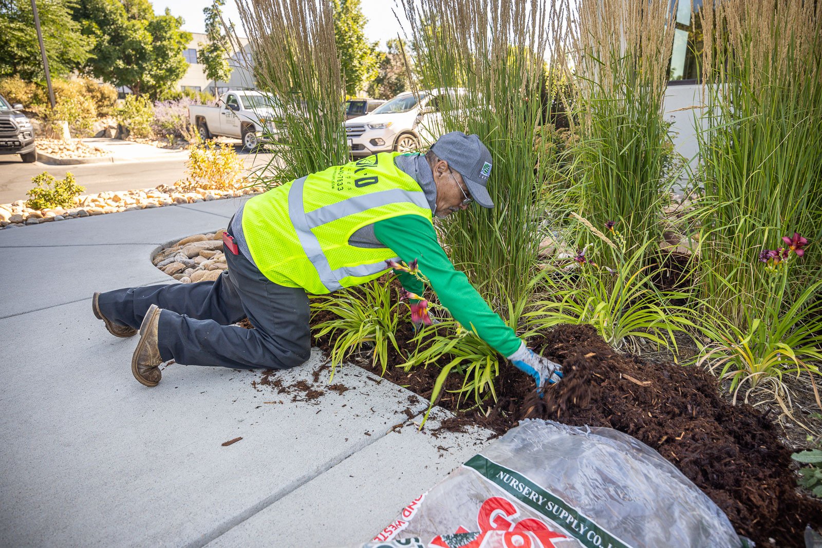 commercial landscape maintenance crew spreading mulch 1