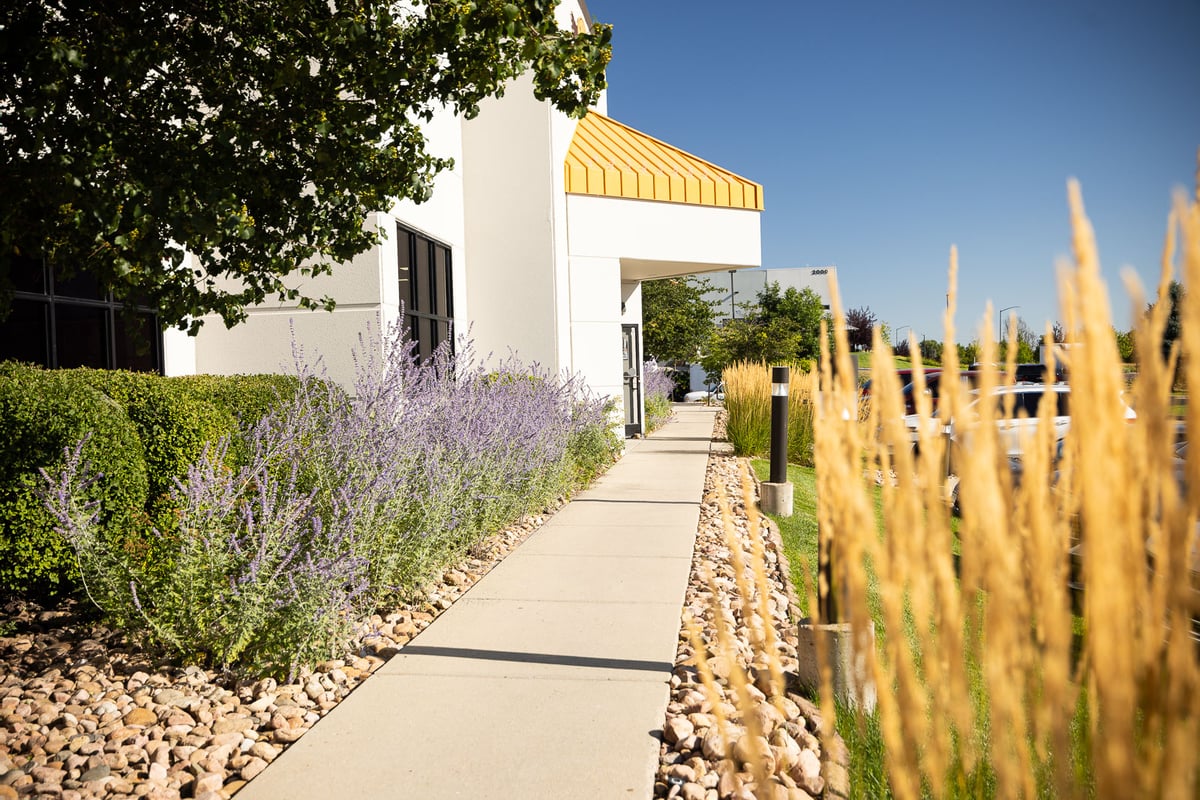 commercial native planting beds