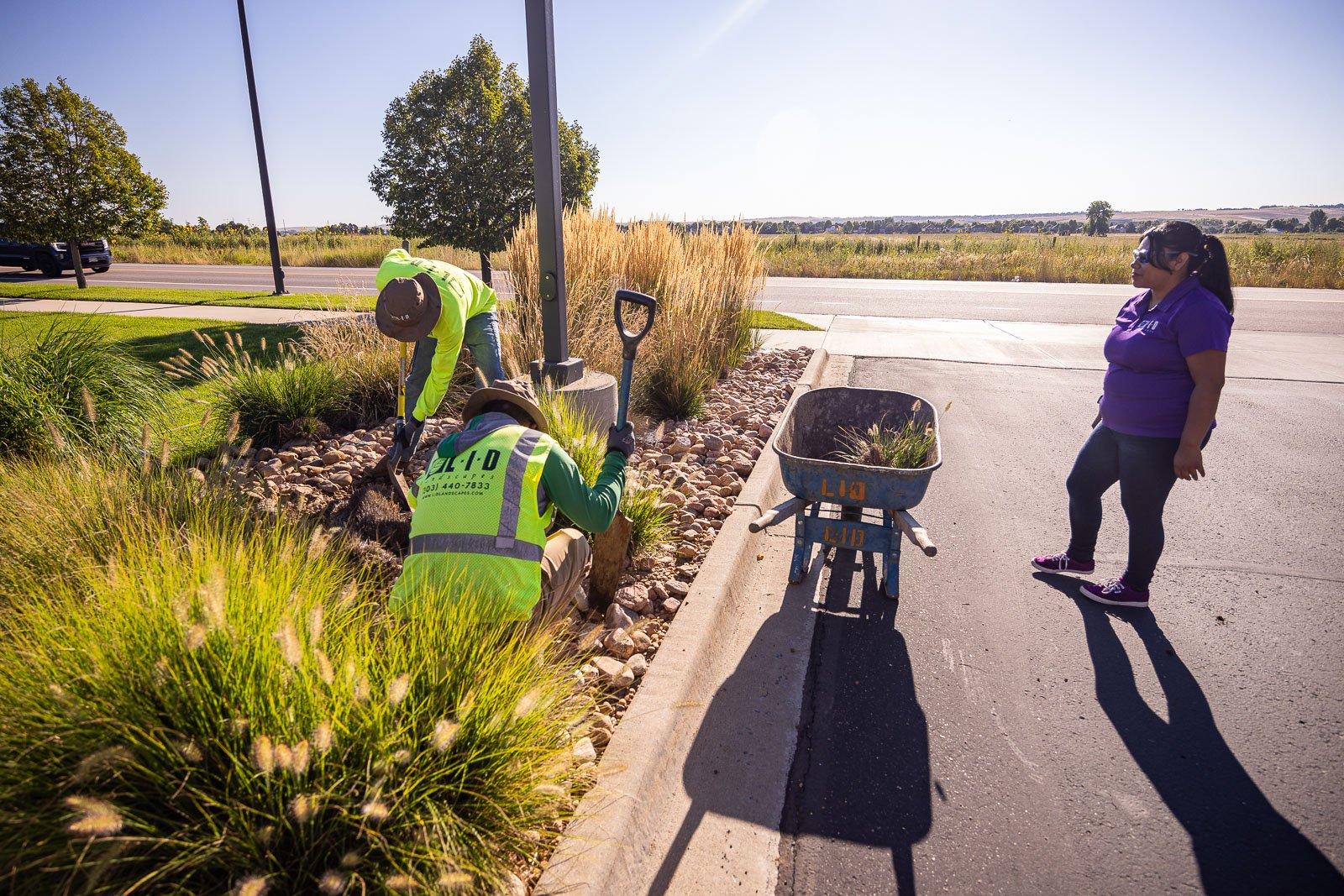 commercial property landscape maintenance crew planting 1