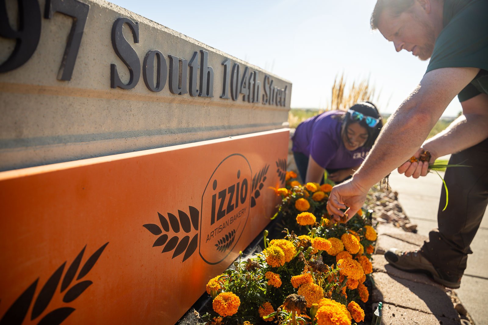 commercial property landscape maintenance crew pulling weeds