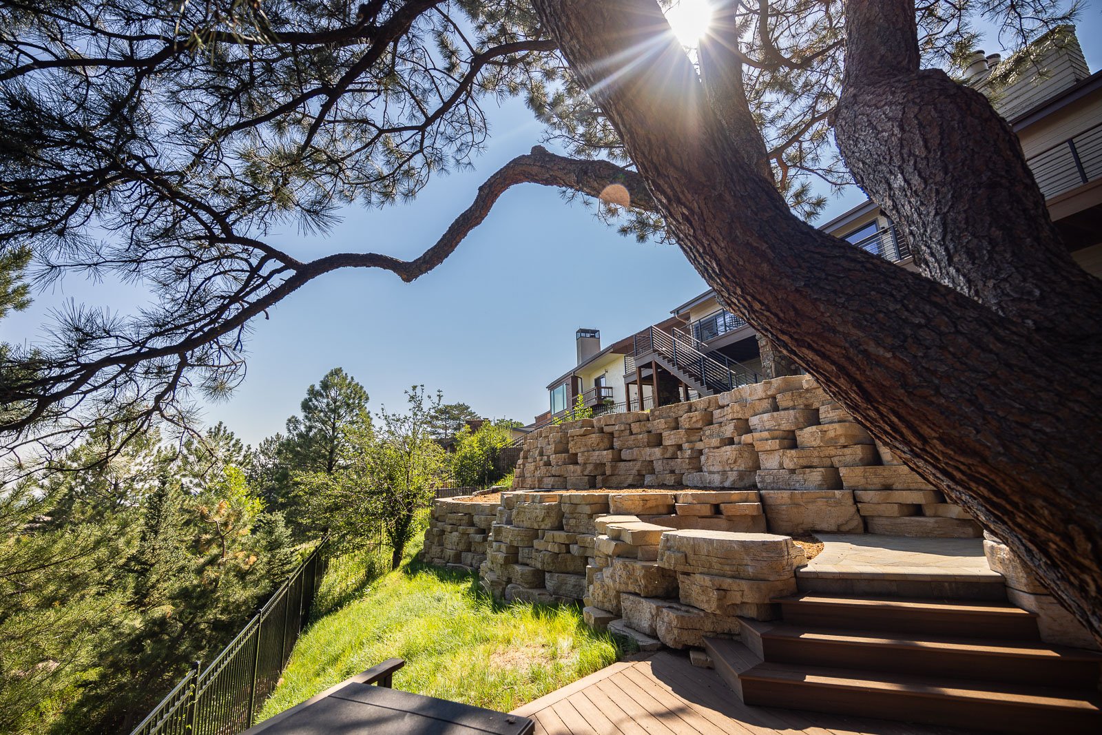 large tree providing shade to a patio space