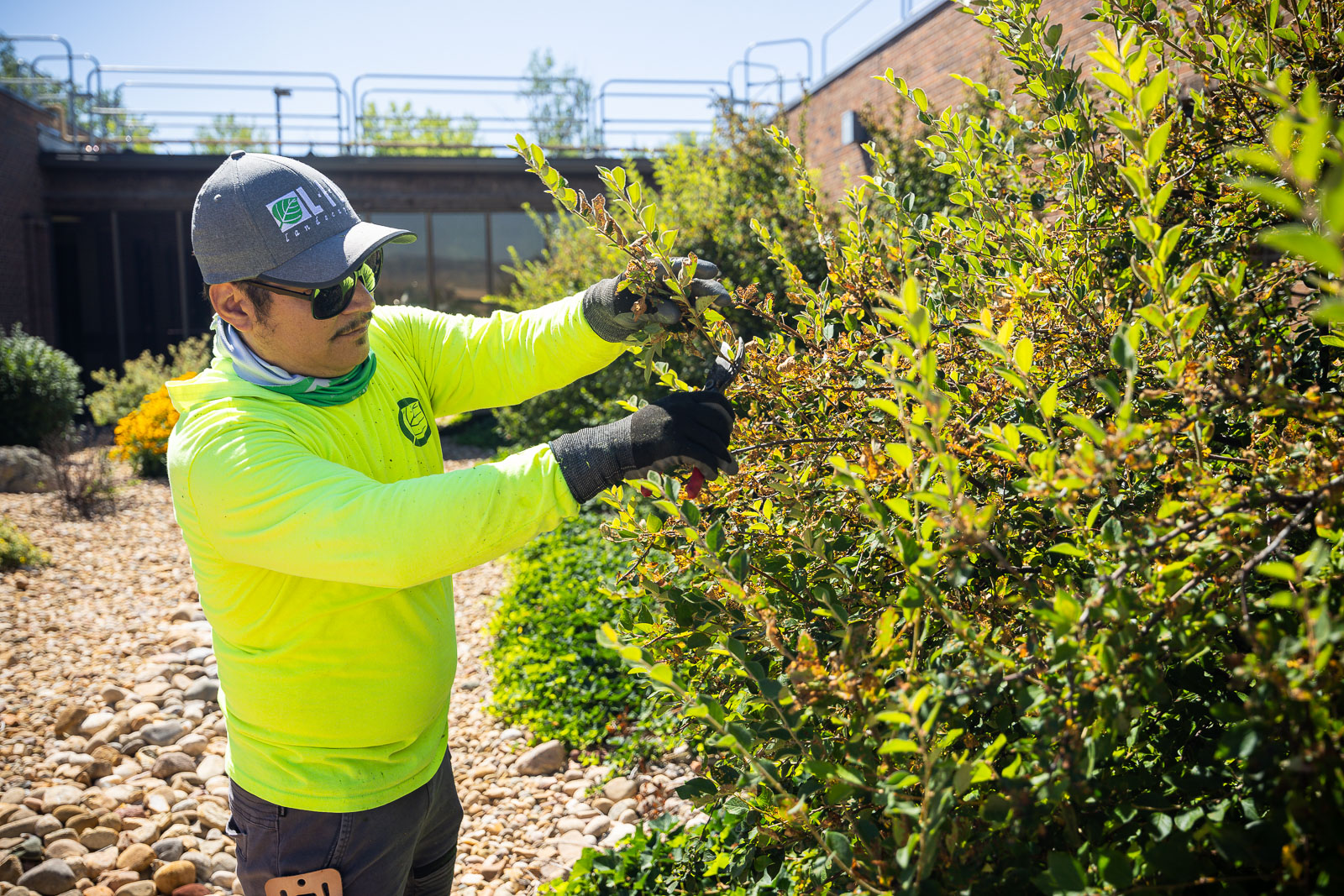 Commercial maintenance crew pruning 1