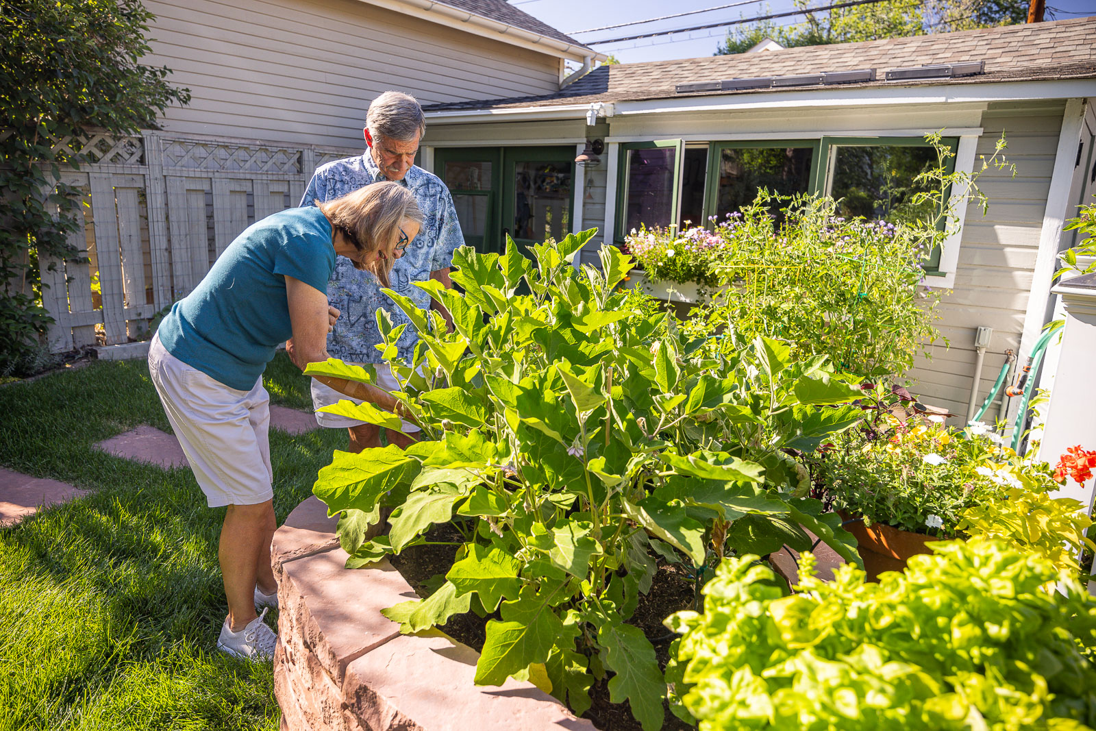 couple inspecting plants in lawn bed