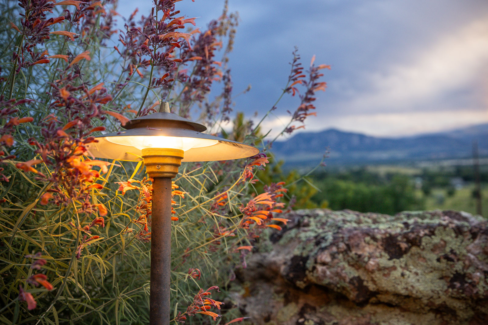 outdoor residential landscape lighting