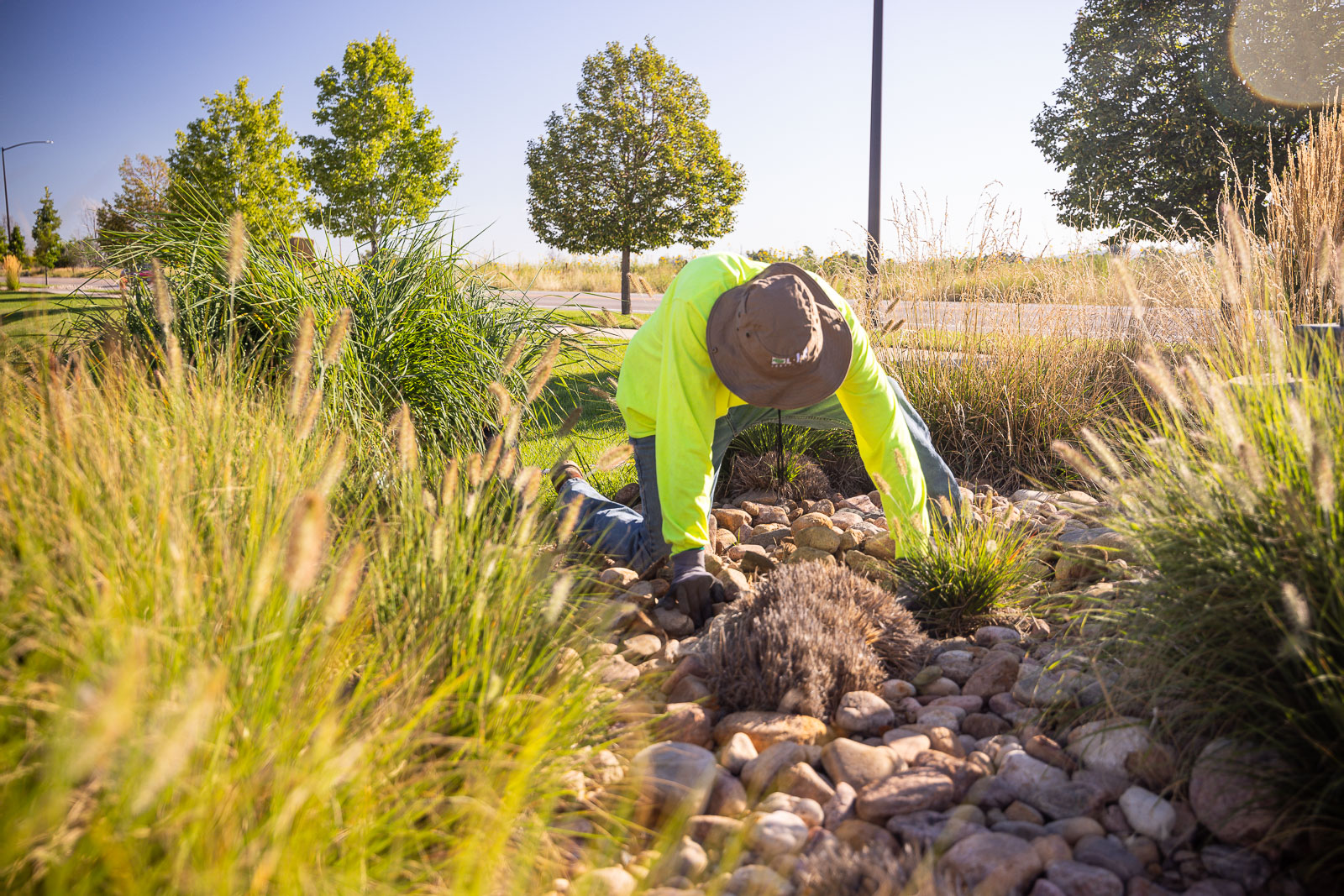 commercial property landscape maintenance crew pulling weeds 2